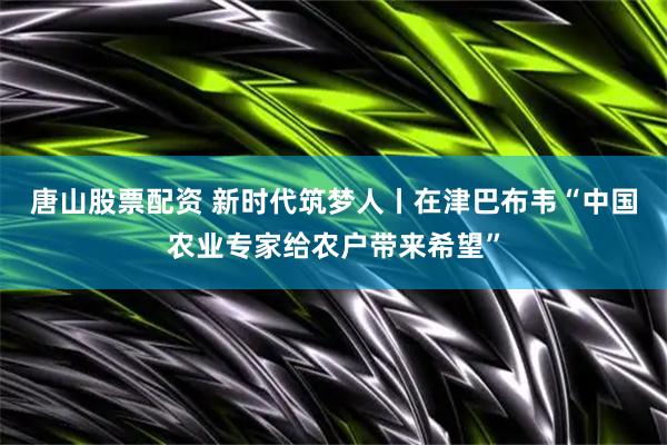 唐山股票配资 新时代筑梦人丨在津巴布韦“中国农业专家给农户带来希望”
